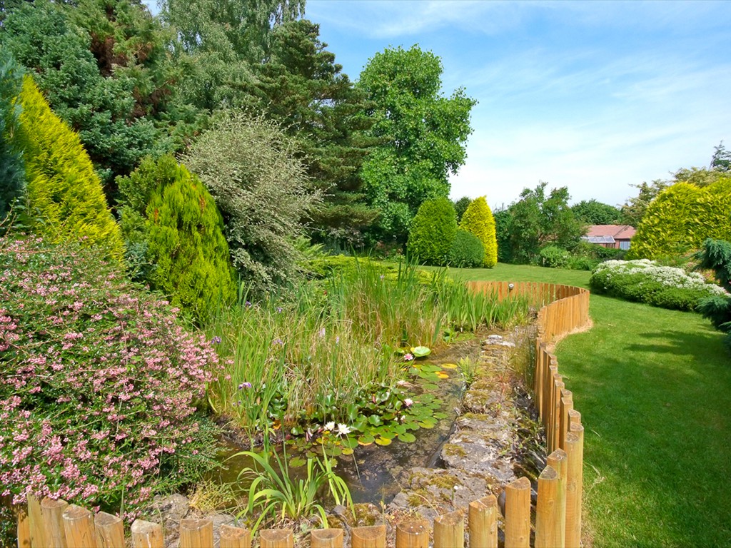 Pond area