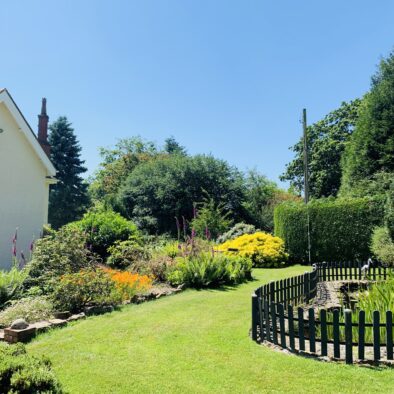 Fish pond at Ludlow Manor House